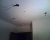 Encastrement des spots dans le faux plafond